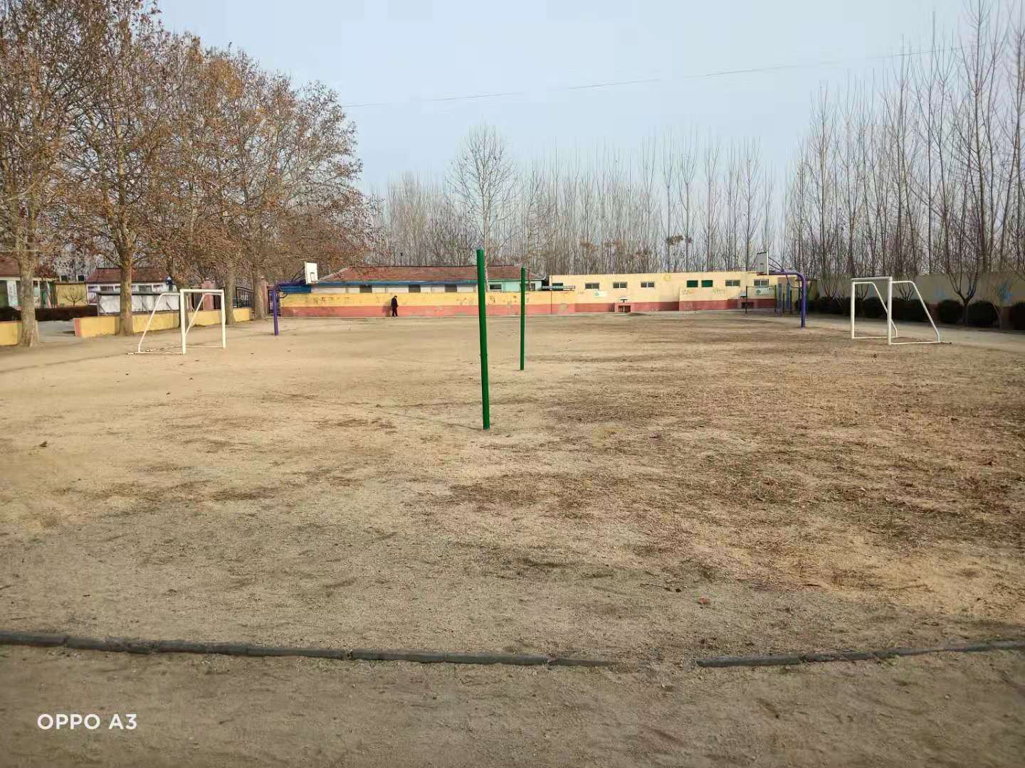第209所 平度市崔家集镇状元府米兰·体育_米兰(中国)刘丽新小学 第209所 平度市崔家集镇状元府米兰·体育_米兰(中国)刘丽新小学