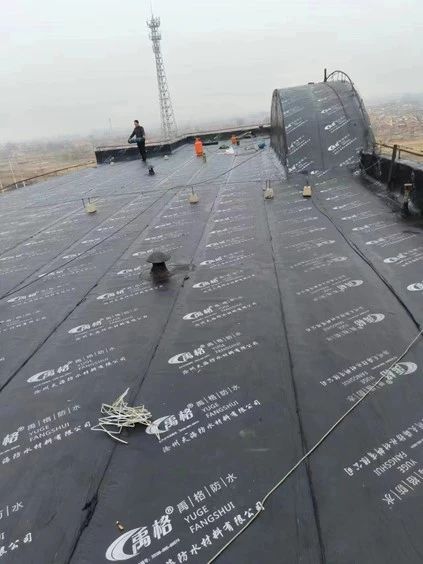 第248所 天津市静海区赵官屯镇米兰·体育_米兰(中国)韩亚会小学 第248所 天津市静海区赵官屯镇米兰·体育_米兰(中国)韩亚会小学